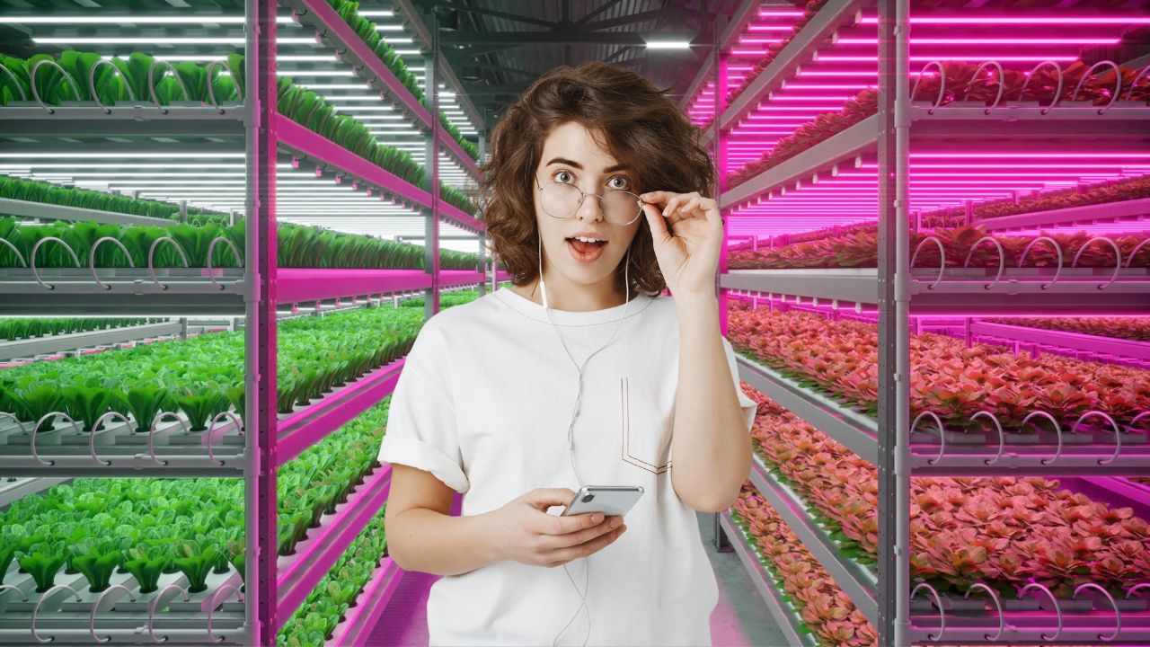 Agricultores Urbanos Adoptan Iluminación LED Espectral en 2026 — La Ciencia de la Luz que Hace Crecer las Plantas