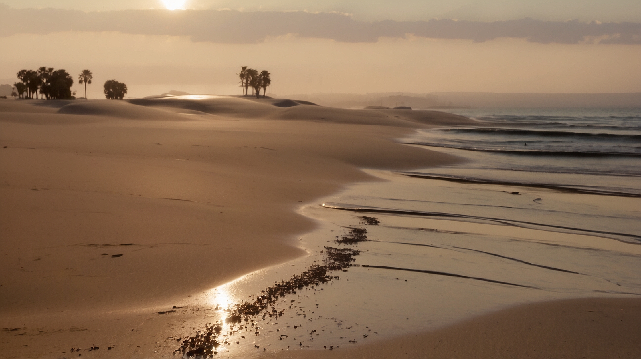 IRS Tax Refund Schedule 2026: When Your Refund Could Arrive and How to Check Your Amount