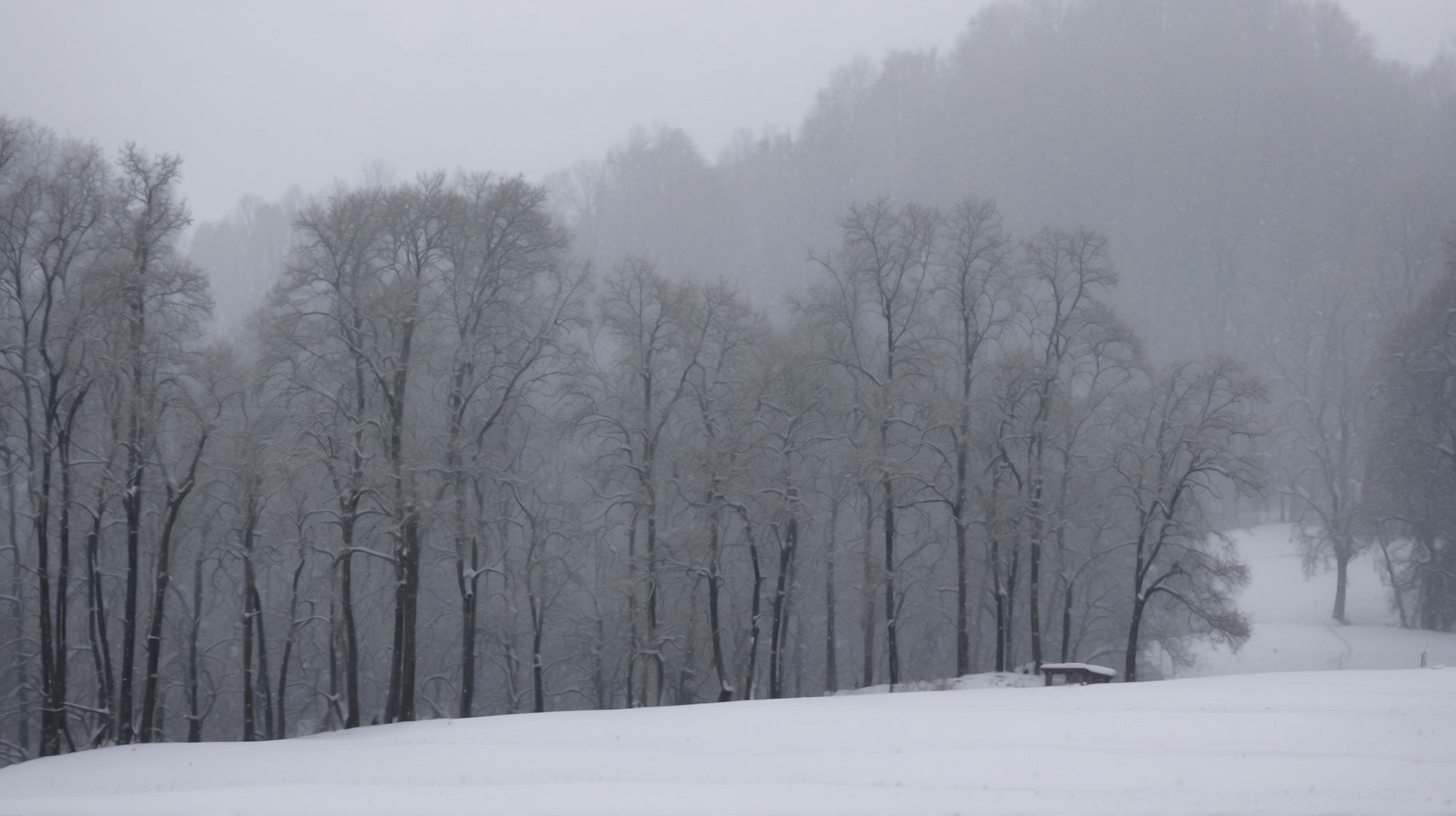 Major Winter Storm Alert in the U.S.: What Makes It So Dangerous and Where It’s Headed Next