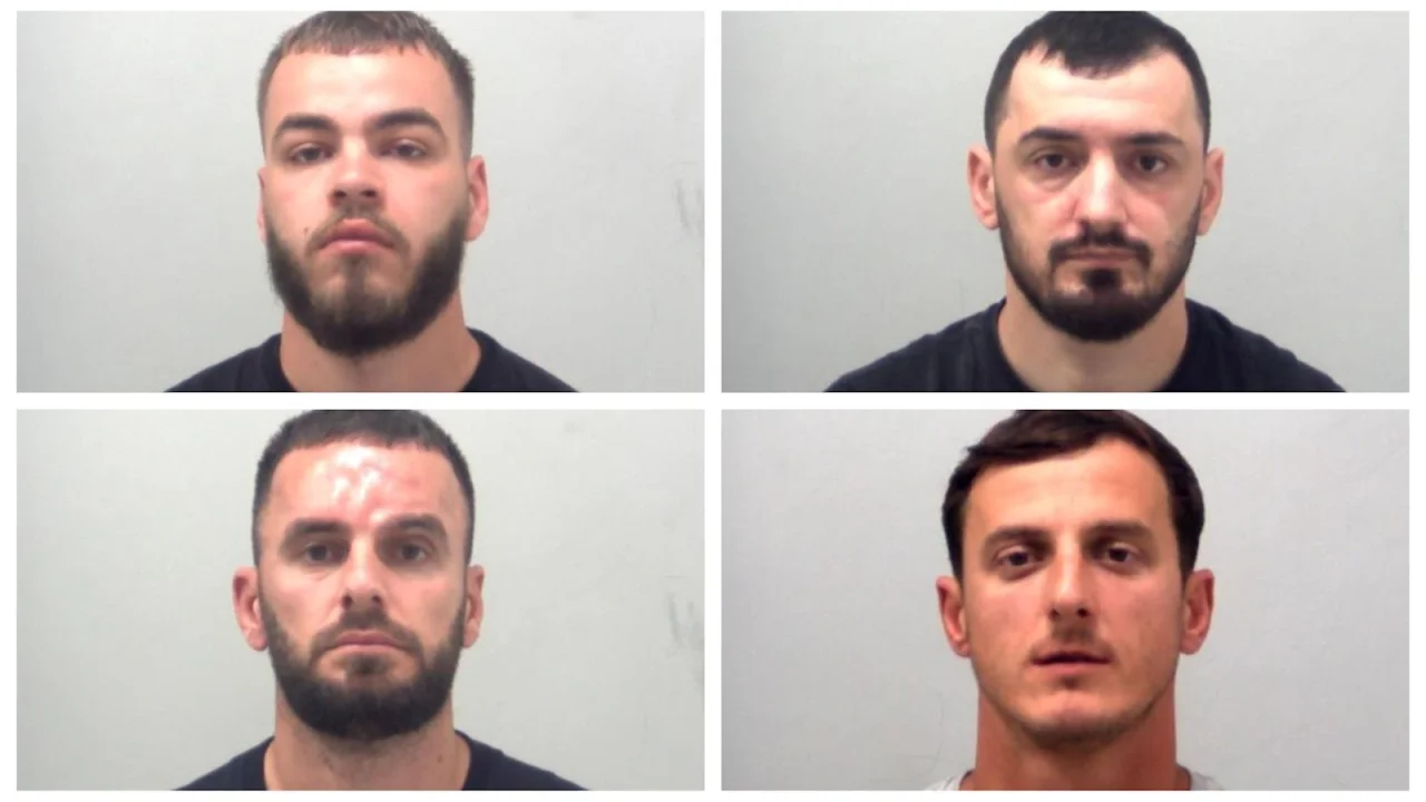 albanian-gangs-500k-cannabis-empire-exposed-after