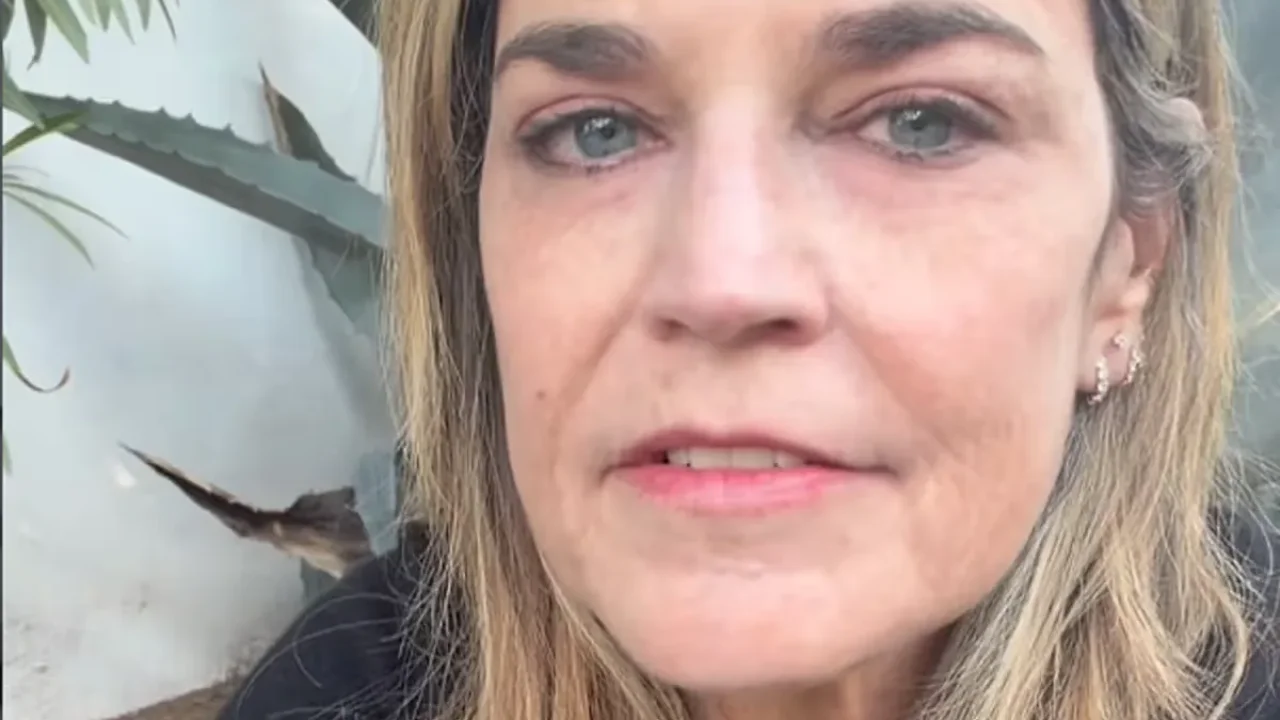 CIA Analyst Reveals Why Savannah Guthrie’s Emotional Pleas to Her Mother’s Kidnappers Could Backfire