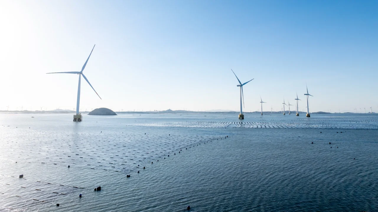 El plan de Sánchez para eólica marina que está dividiendo a los pescadores españoles