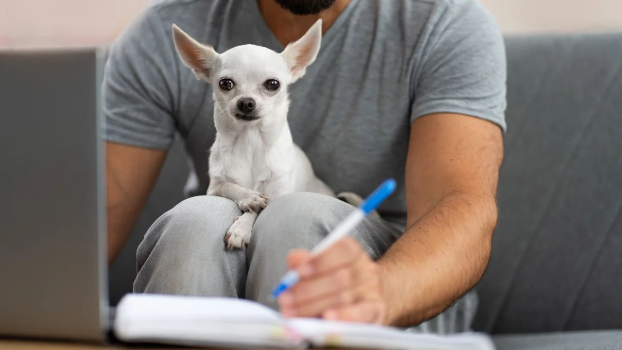 este-cambio-en-la-declaracin-de-la-renta-te-da-100