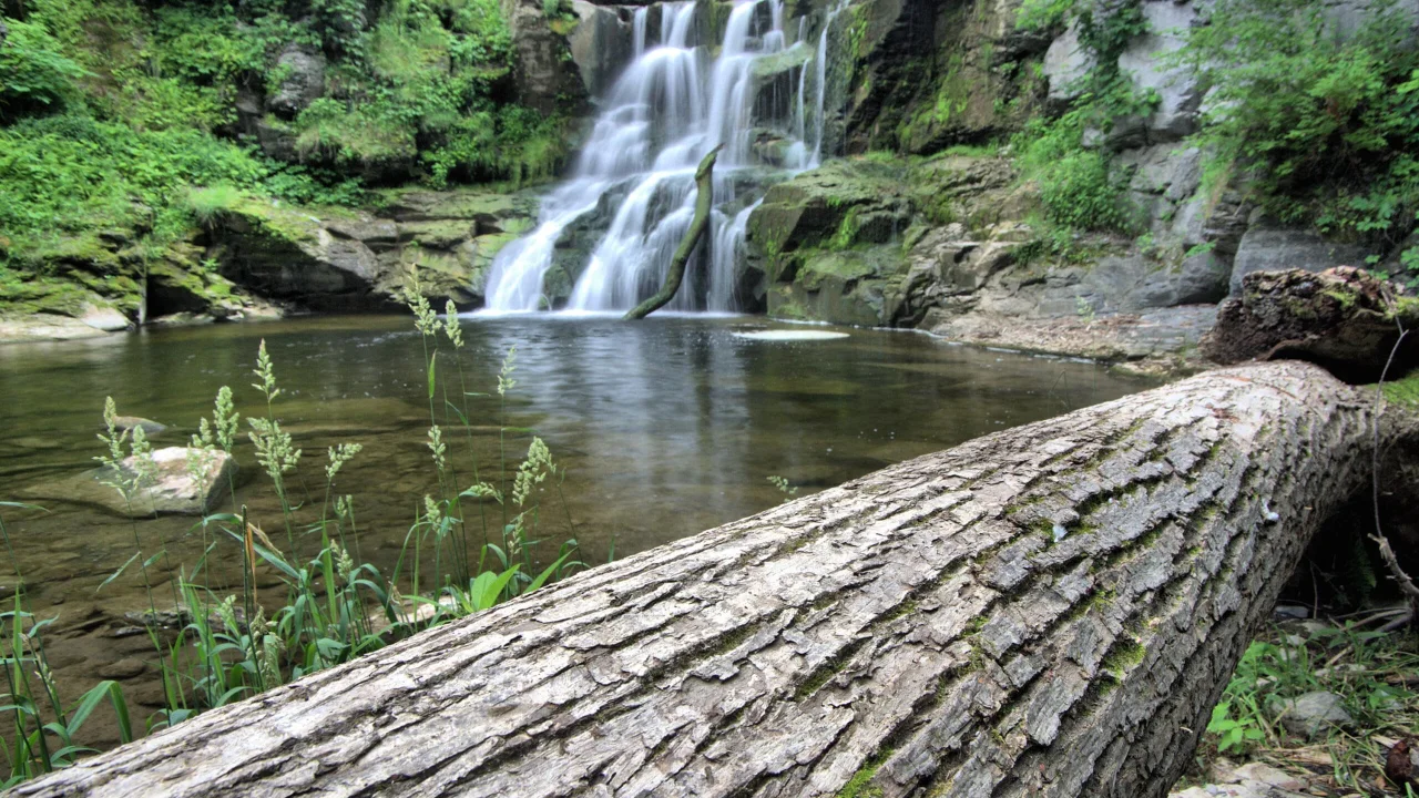 hidden-gem-kashong-glen-saved-from-development-by