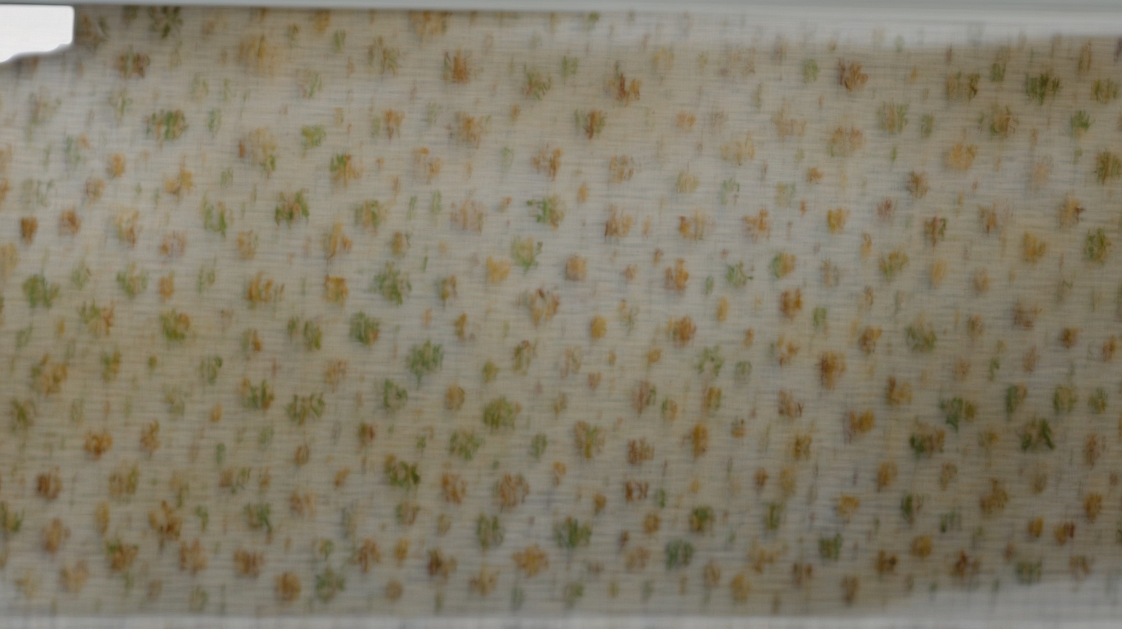 IRS $2,000 direct deposit in February 2026: eligibility, payment dates, and instructions