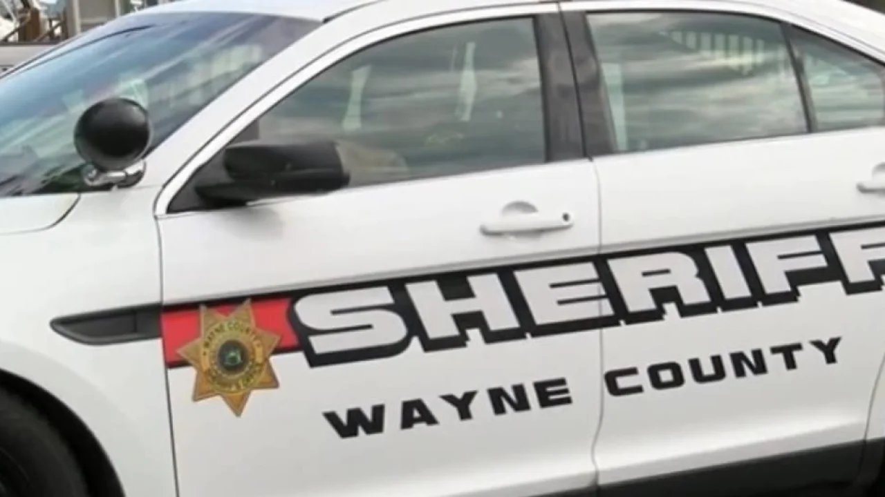 lyons-mans-3000-welfare-fraud-scheme-unravels-afte