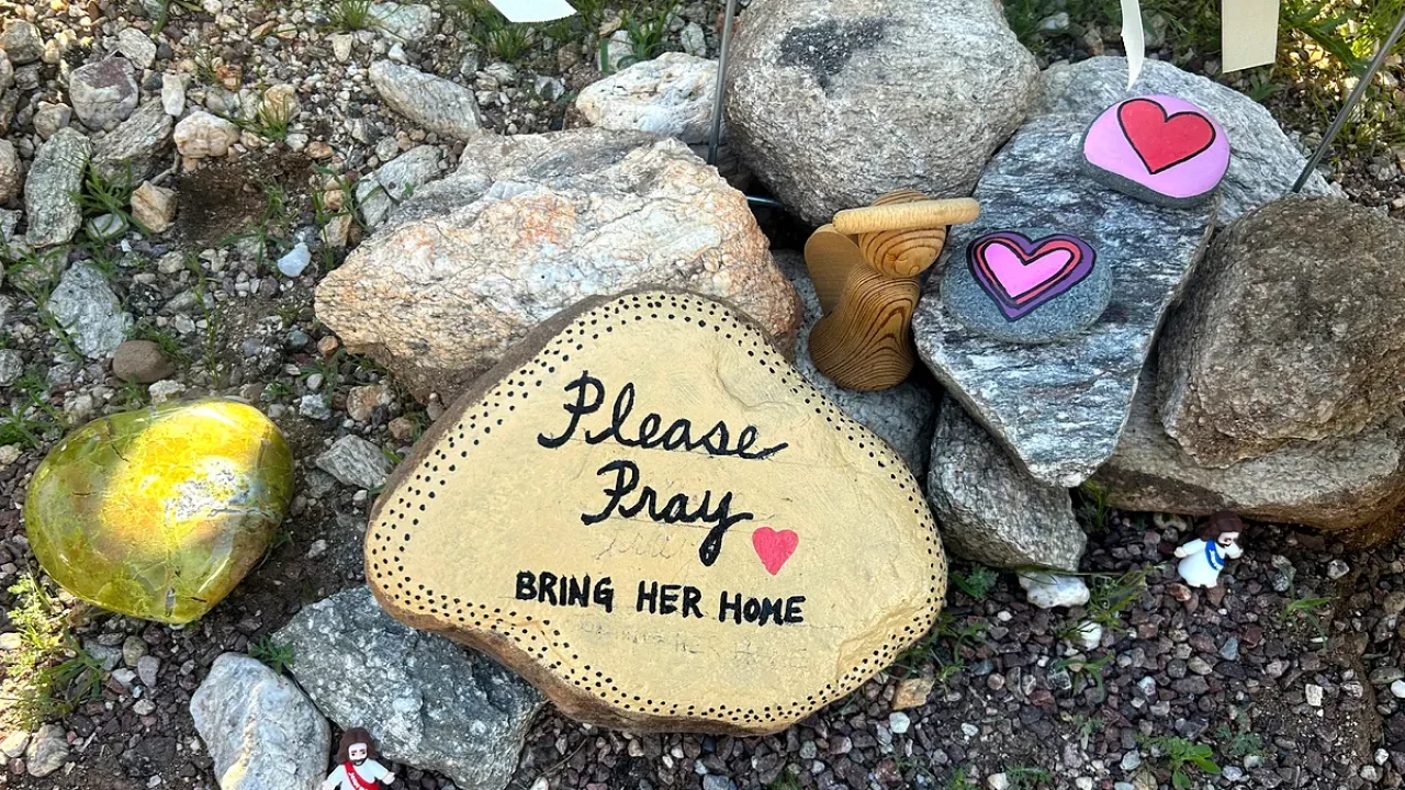 Nancy Guthrie disappearance turns sinister as blood trail reveals what happened outside her home