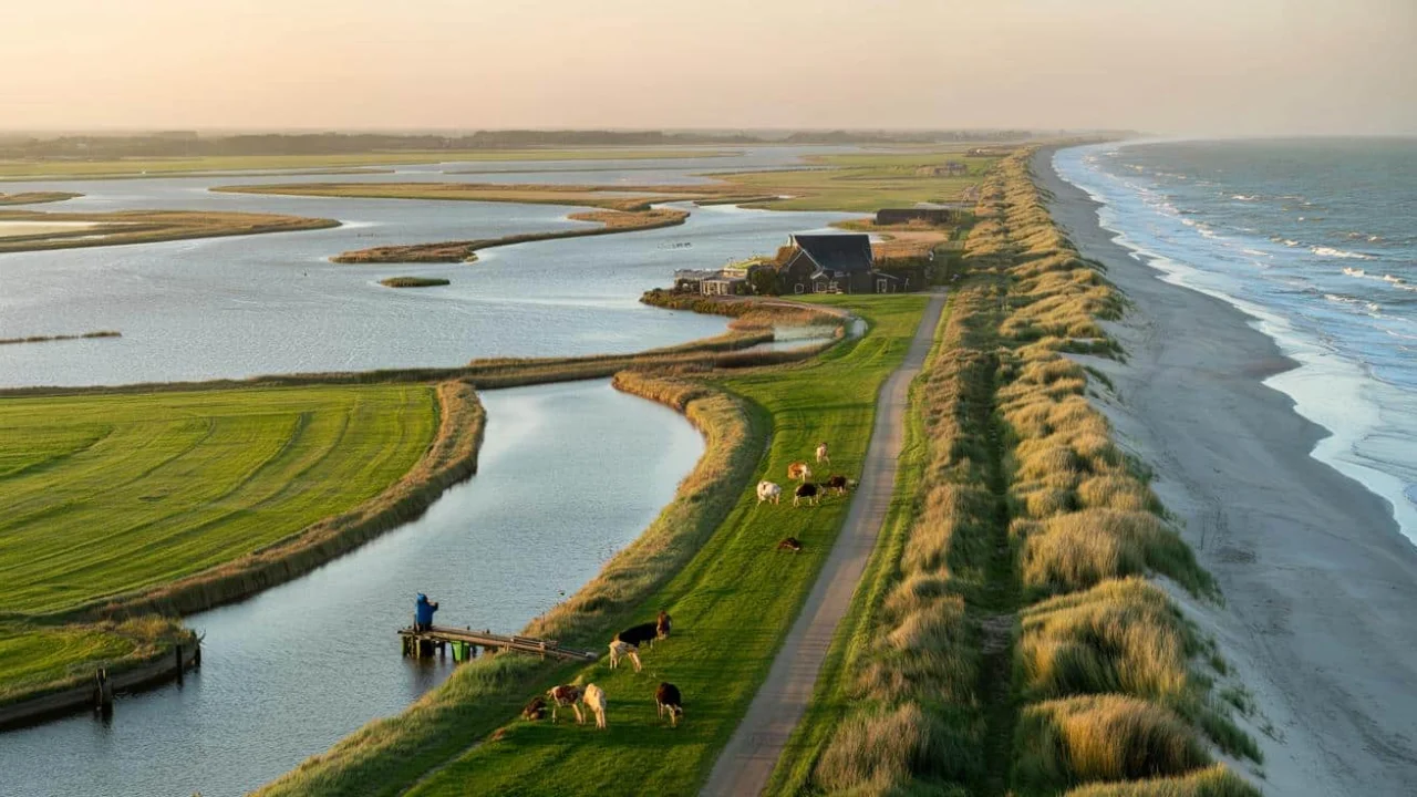 Netherlands land reclamation secretly created thousands of acres while no one was watching