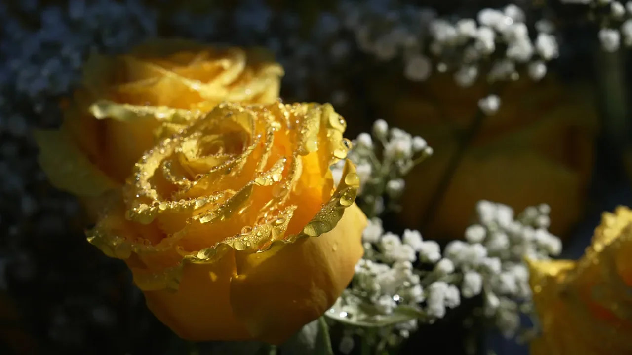 savannah-guthries-mother-nancy-goes-missing-in-ari