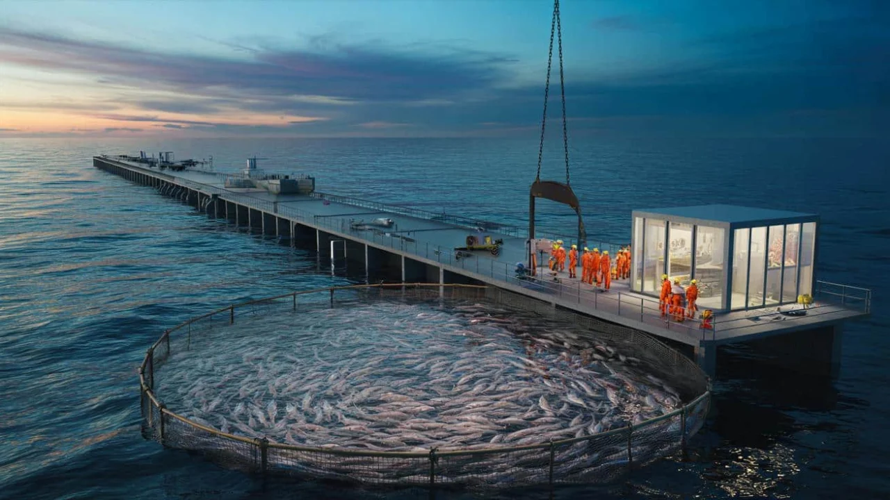 this-385-meter-offshore-salmon-farm-looks-exactly
