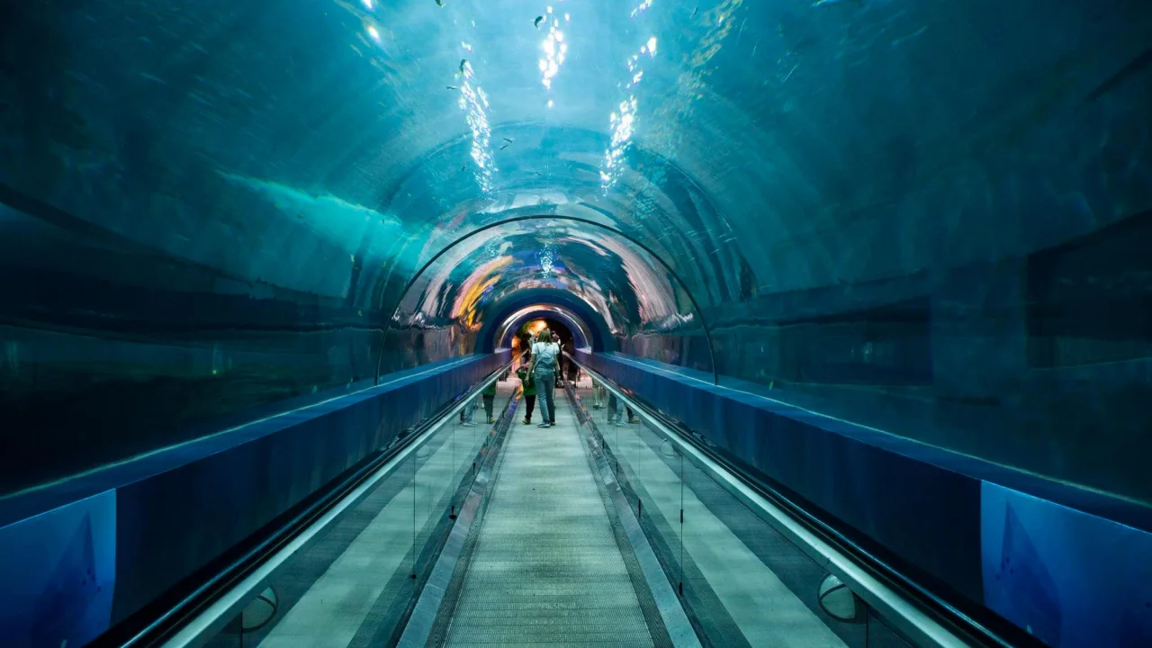this-underwater-rail-tunnel-could-change-how-conti