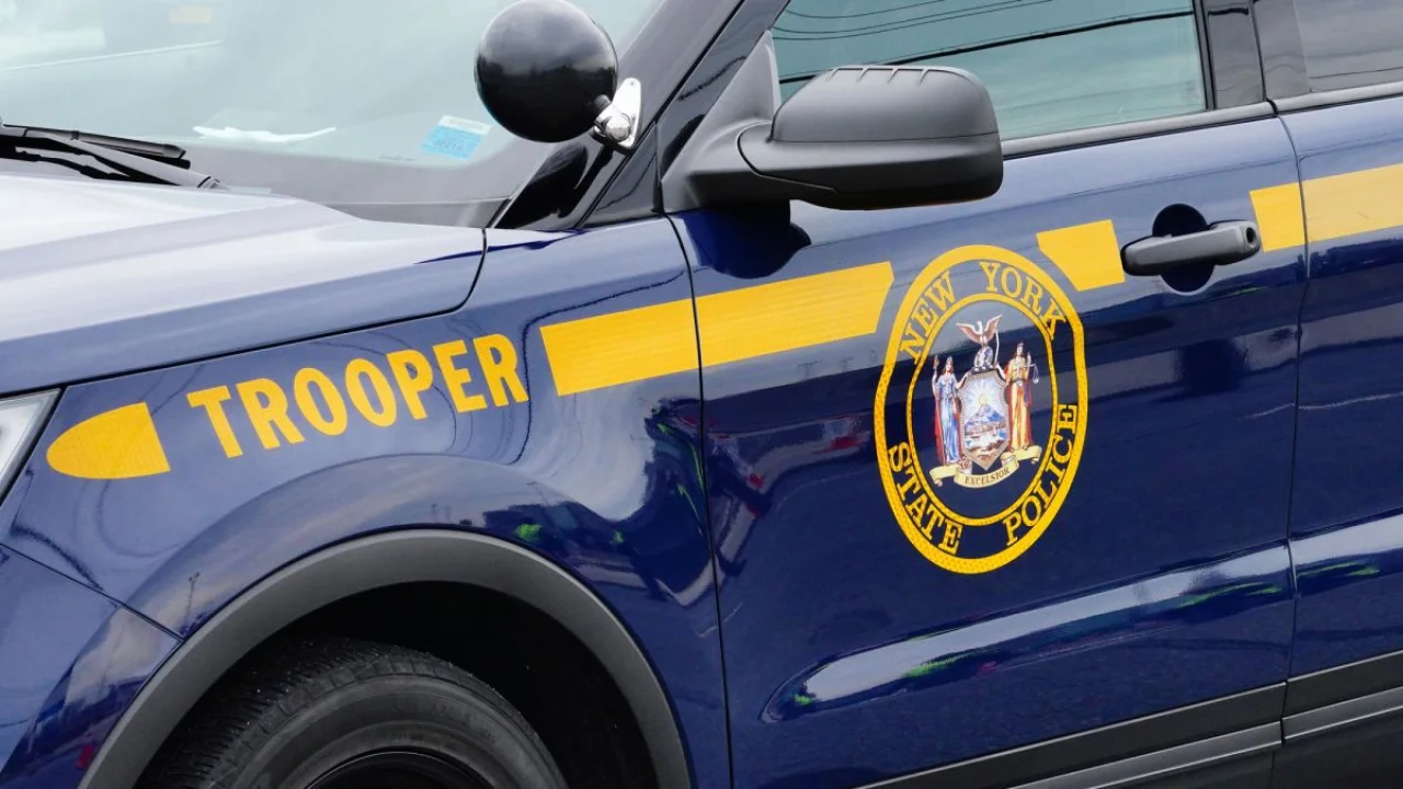 traffic-stop-uncovers-fake-permit-leading-to-shock