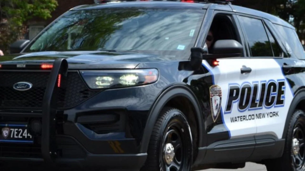 Waterloo arrest follows wild chase that ended in snowy ditch after driver tried to outrun police