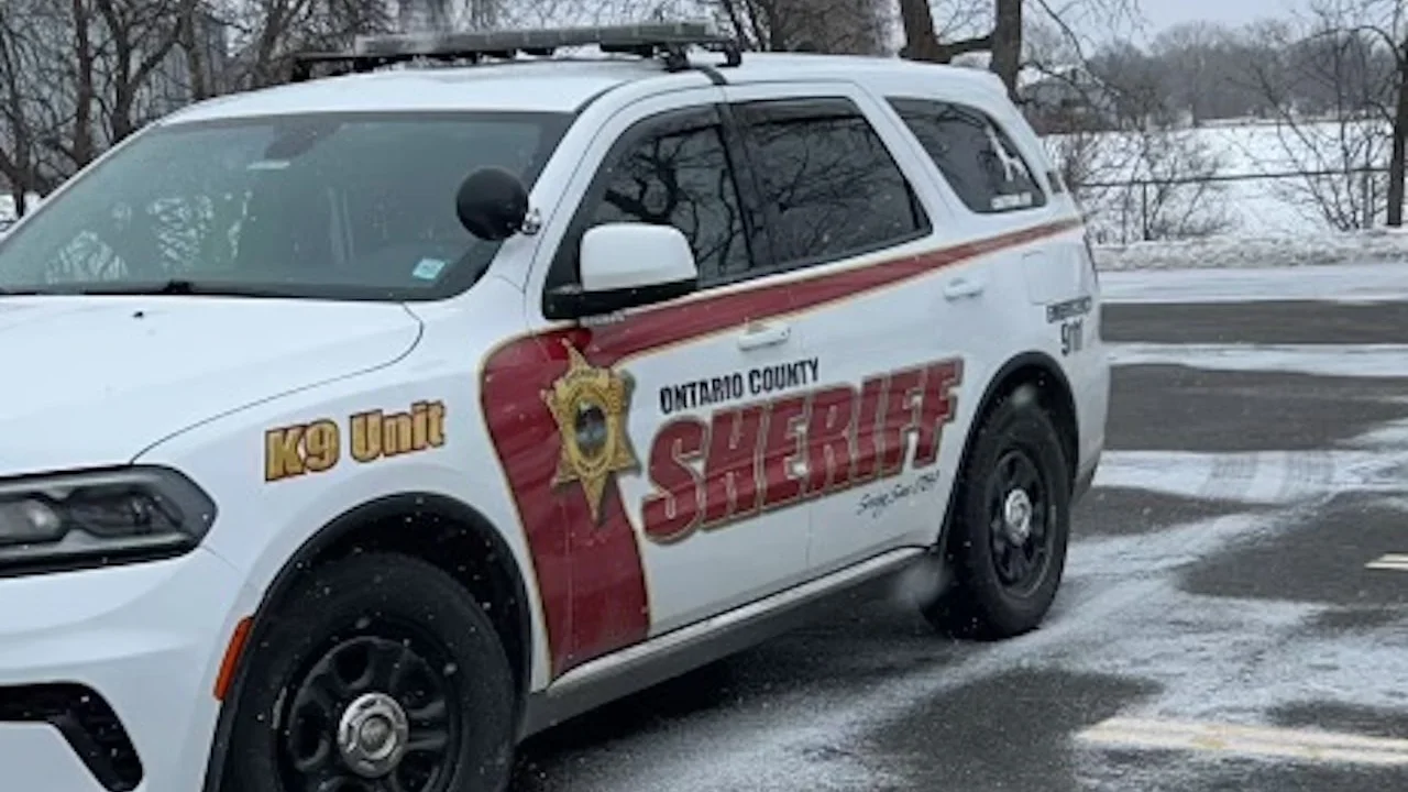 What really happened when this Springwater driver’s car ended up in a ditch at 3am?