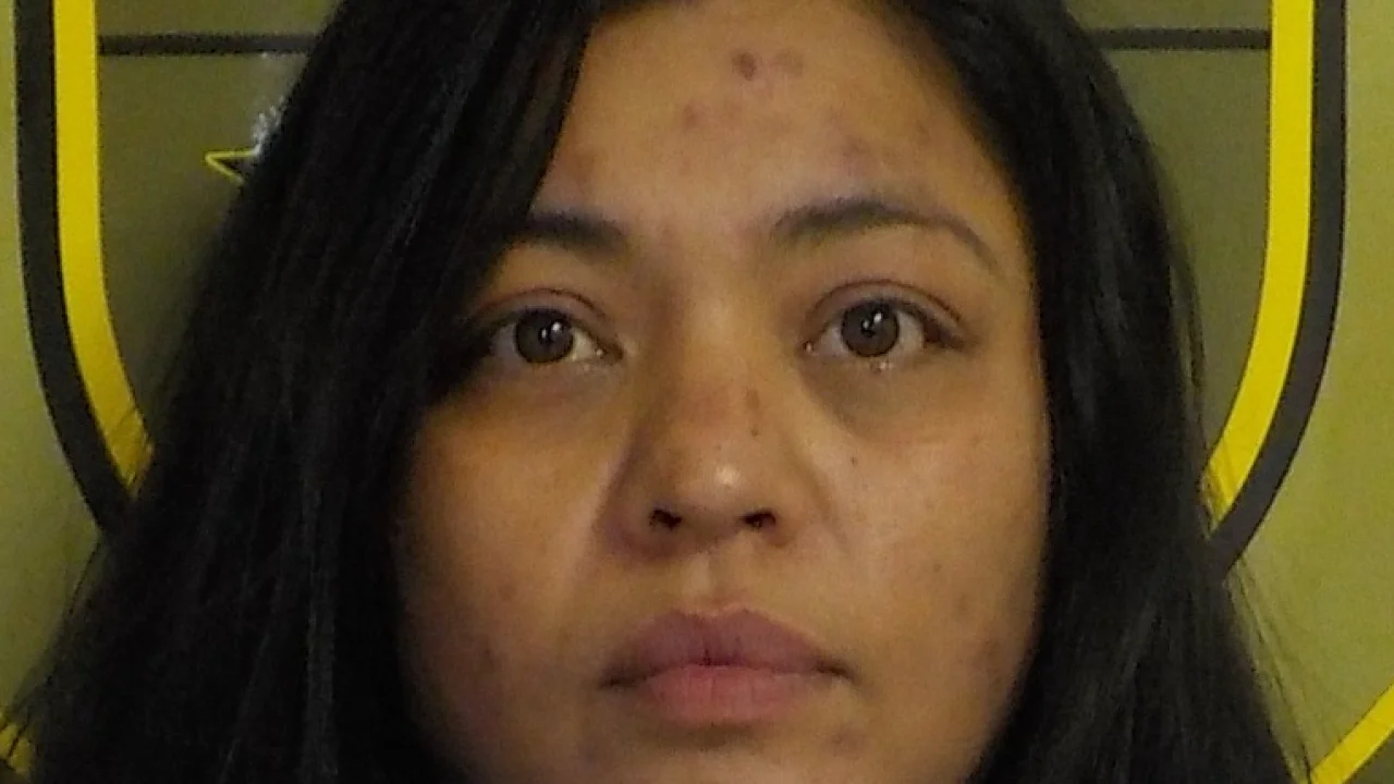 woman-faces-rental-car-theft-charges-after-ex-boyf